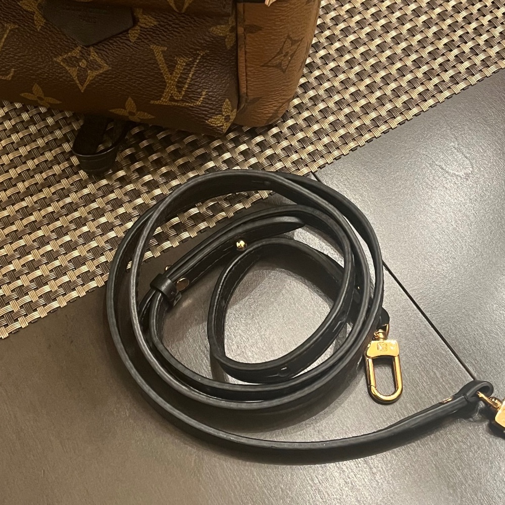 Louis Vuitton Palm Springs mini strap (authentic one left)